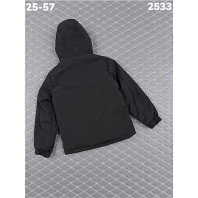 Куртка 2533 чёрный