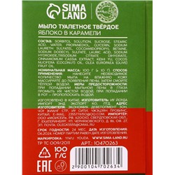 Новогодний подарочный набор косметики «Уют и тепло»: мыло для рук кусковое 100 г и мочалка для тела, URAL LAB