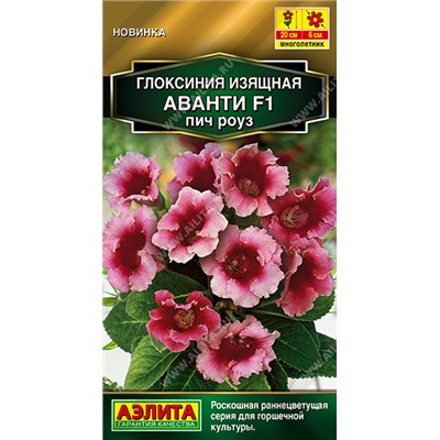 Глоксиния Аванти Пич Роуз F1 (Код: 93549)