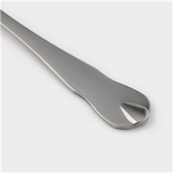 Набор чайных ложек Доляна «Капля», 15 см, 6 шт., нержавеющая сталь, серебристый