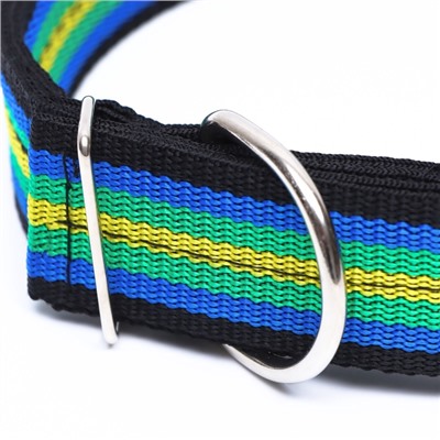 Ошейник четырехслойный, 65×4 см, разноцветный