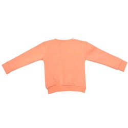 5521 Джемпер для девочки утепленный