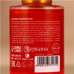 Гель для душа Happy New Year, набор 4×100 мл, URAL LAB