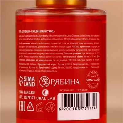 Гель для душа Happy New Year, набор 4×100 мл, URAL LAB