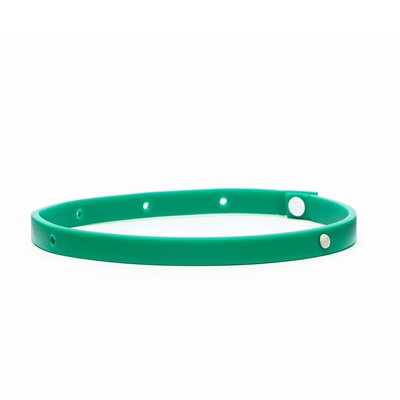 Биоошейник от паразитов для кошек и собак «Пижон Premium», 35 см, зелёный