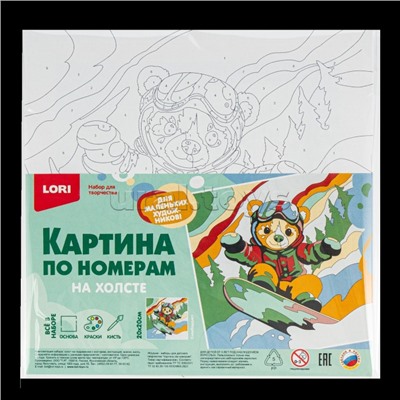 Картина по номерам на холсте 20х20 "Сноубордист"