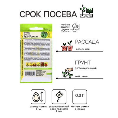 Семена Огурец "Братец Иванушка", F1 0,3 гр.