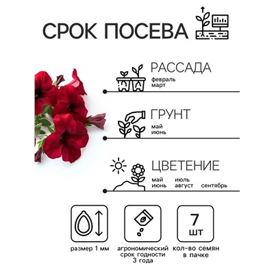 Семена Петуния Мамбо F1 пурпурная многоцветковая, 7 шт