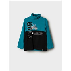 Водолазка трикотажная для мальчиков