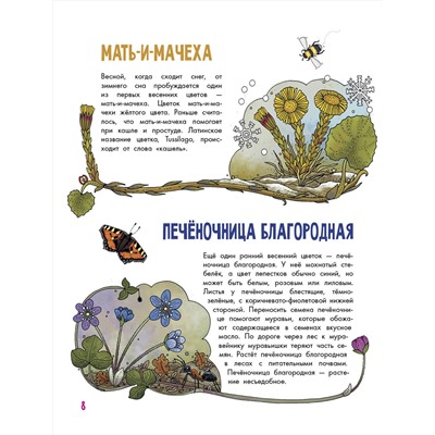 АСТ Янссон Э. "Цветы и растения"