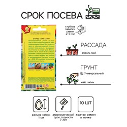 Семена Огурец "Соли сам F1", 10 шт