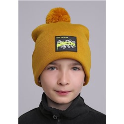 452985 CLEVER Шапка
