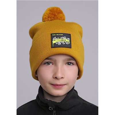 452985 CLEVER Шапка