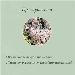 Кустодержатель для цветов, d=40 см, h=90 см, ножка d=1 см, металл, зелёный