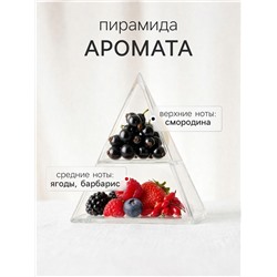 Диффузор ароматический с палочками Ягоды годжи, 100 мл