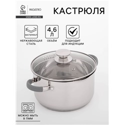 Кастрюля Magistro Tefida, 4.6 л, AISI - 201, крышка-дуршлаг, носик для слива, капсульное дно, с крышкой, индукция, нержавеющая сталь
