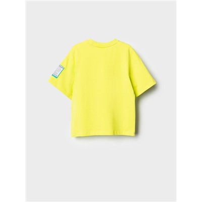 Фуфайка трикотажная для мальчиков (футболка)