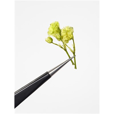 Сухоцветы для декора «Ассорти», объёмные, 12 видов, в футляре, разноцветные