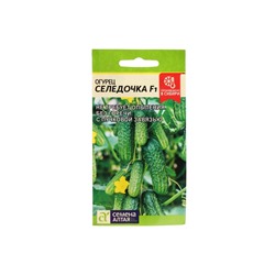 Семена Огурец "Селедочка", F1, Сем. Алт, ц/п, 5 шт