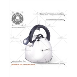 ZEIDAN Чайник Z-4430