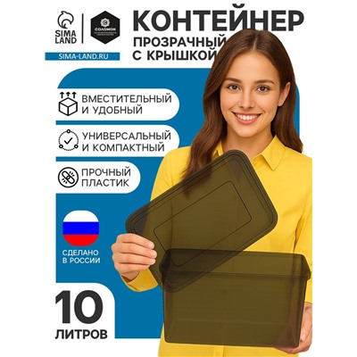 Ящик пластиковый для хранения, с крышкой, объём — 10 л, прозрачно-чёрный