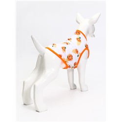 Футболка для животных «Апельсинка», размер L, ДС 34, ОГ 46 см