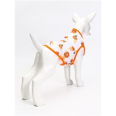 Футболка для животных «Апельсинка», размер M, ДС 30, ОГ 42 см