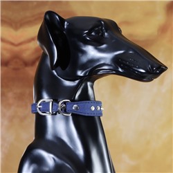 Ошейник «Бархат и стразы», 31×1.3/2 см, ОШ 22-28 см, синий