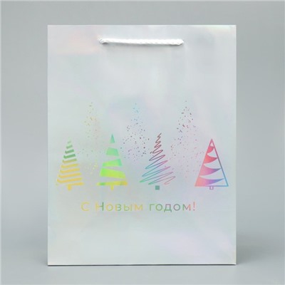 Пакет новогодний подарочный голографический «С Новым годом», 18×23×10 см