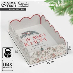 Коробка новогодняя подарочная с пластиковой крышкой «С Новым годом», 20×30×8 см