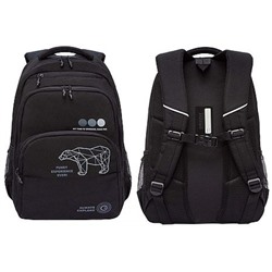 Рюкзак молодежный RU-530-3/1 черный 32х45х23 см GRIZZLY