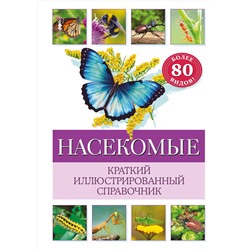 Эксмо Бэрбель Офтринг "Насекомые. Краткий иллюстрированный справочник"