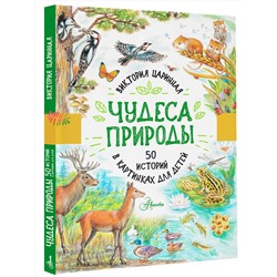 АСТ Царинная В.А. "Чудеса природы. 50 историй в картинках для детей"