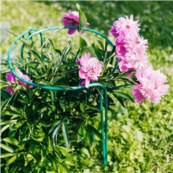 Кустодержатель, d=80 см, h=60 см, ножка d=1 см, металл, набор 2 шт., зелёный