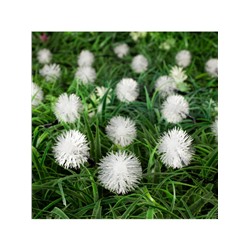 Гирлянда «Нить», 4.5 м, уличная, с насадками «Ёжики», IP44, 30 LED, 2 режима, солнечная батарея, тёмная нить, свечение жёлтое/аквамарин