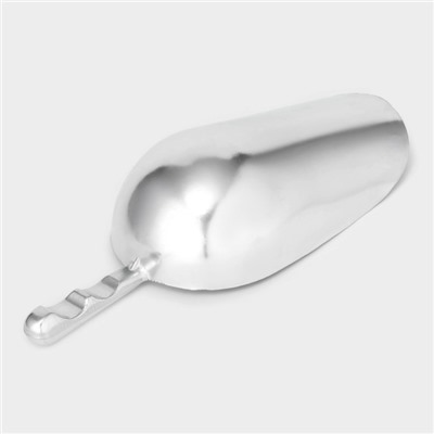 Совок, h=31 см, алюминий