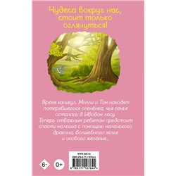 АСТ Дж. С. Беттс "Оленёнок и дракон"
