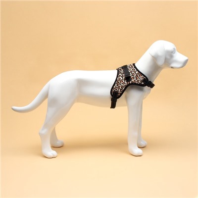 Шлейка К7, размер XL, ОГ 74-92 см, вес 28-47.5 кг, мягкая, светоотражающая, леопард