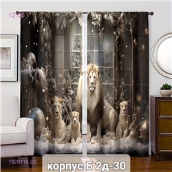 Фотошторы 3д 1929116-23