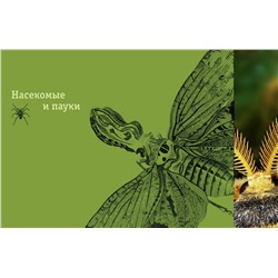 Эксмо Василий Климов "Редкие и удивительные животные нашей планеты. Энциклопедия для детей"