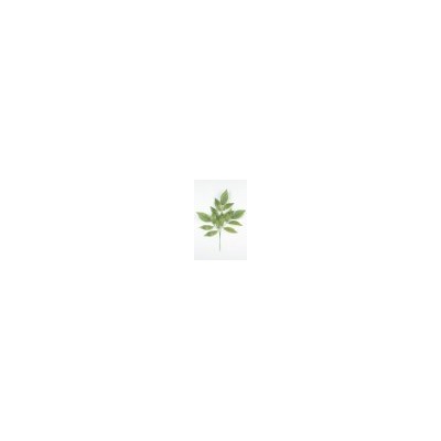 Искусственные цветы, Ветка кустовая манго (1010237)