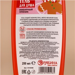 Гель для душа, 250 мл, аромат имбирного пряника, URAL LAB