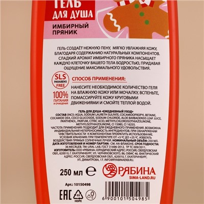 Гель для душа, 250 мл, аромат имбирного пряника, URAL LAB