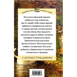 Эксмо Эрнест Сетон-Томпсон "Медвежонок Джонни. Лесные истории (с иллюстрациями)"