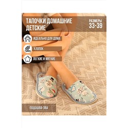 Тапки С-6ДМ(д)-МР НАТАЛИ, 958305