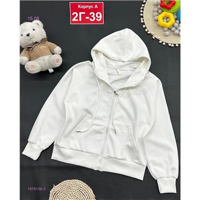 кофта 1978106-3