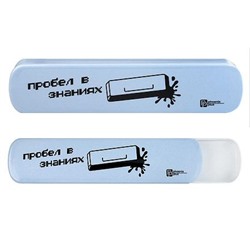 Пенал пластиковый 197х45х22 мм 72030 "ПРОБЕЛ В ЗНАНИЯХ" Феникс