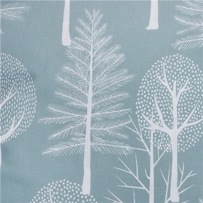 Постельное бельё 2-спальное «Этель» Forest, поплин