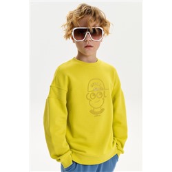 Толстовка для мальчиков PELICAN, 1236461