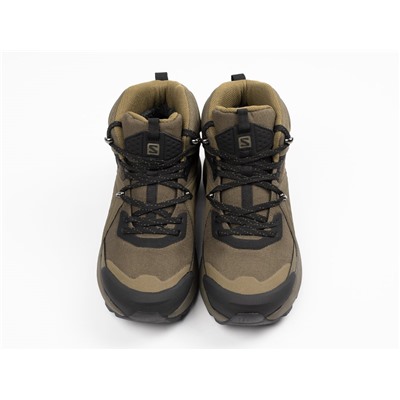 Ботинки Salomon ELIXIR MID GTX